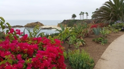 Manicured coastal garden path at Montage Resort overlooking Sunset Beach